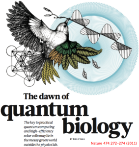 quantum_biology