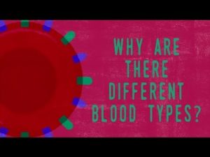 whydobloodtypematter