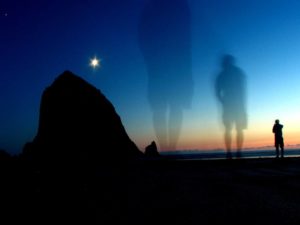 life-is-like-an-echo